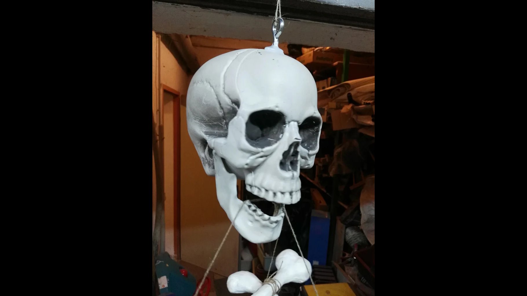 Click to Enlarge-Esc to Close EventPhotos/Halloween/skel FJK.jpg
